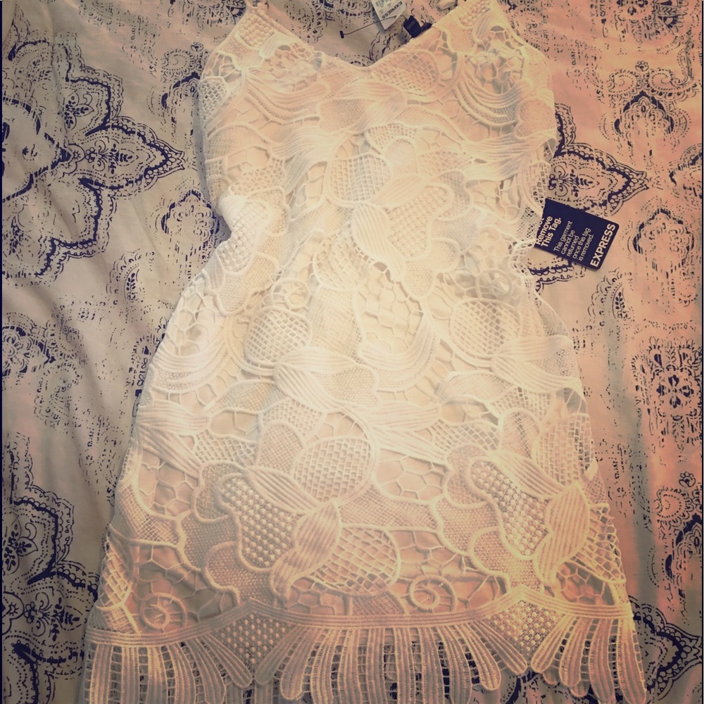 Express lacy dress